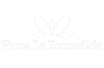 desarrollo de marca simbiosis